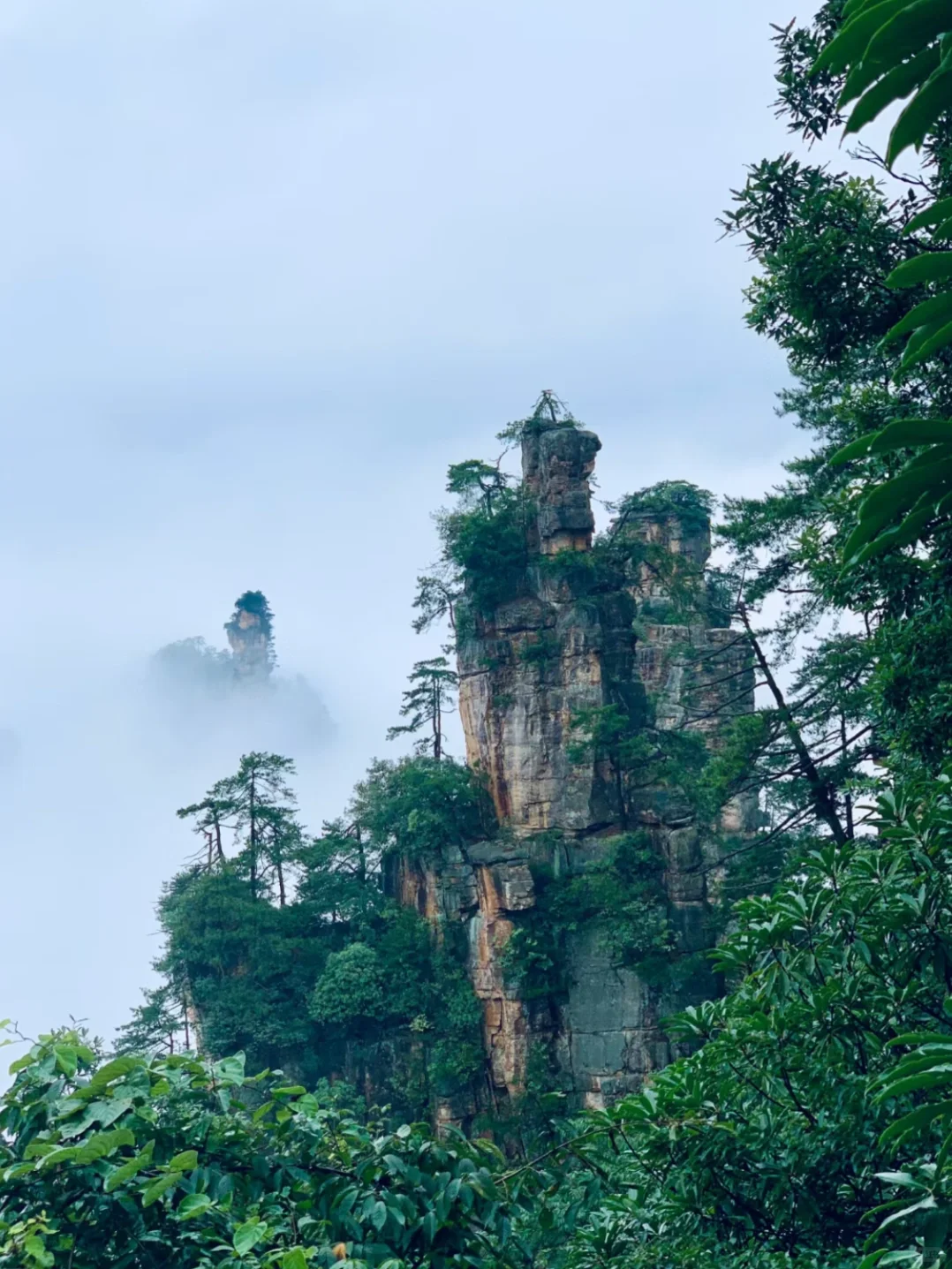 杨家界