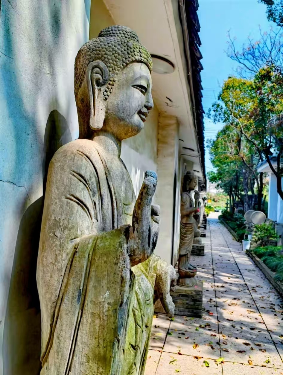 微信图片_20260402143411_639_2 微信图片_20260402143411_639_2