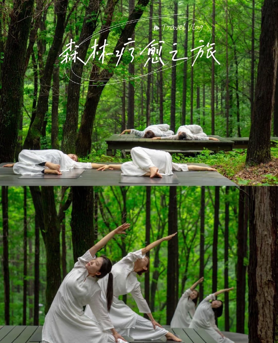 微信图片_20261007012926_1135_1